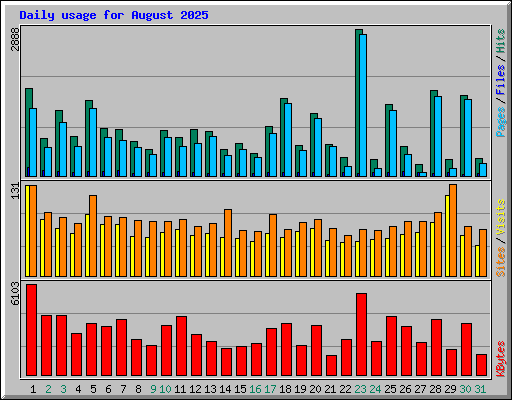 Daily usage for August 2025