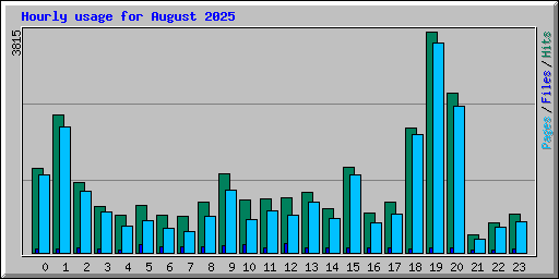 Hourly usage for August 2025