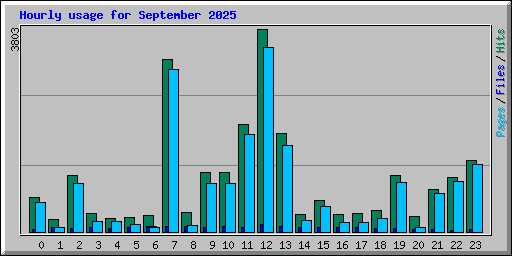 Hourly usage for September 2025