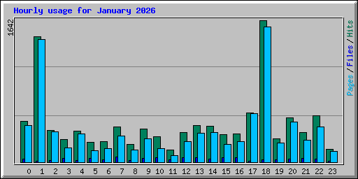 Hourly usage for January 2026